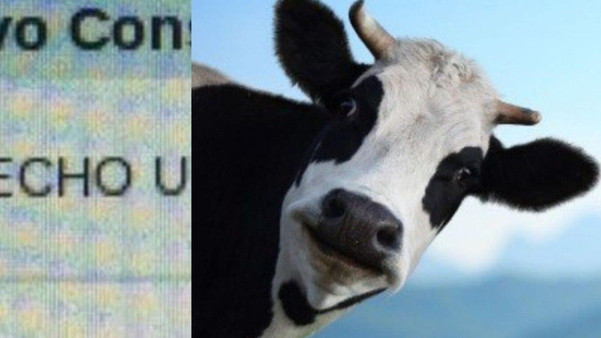 Los motivos de las consultas son variados y causaron todo tipo de comentarios en la red social.