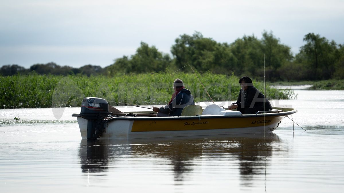 La pesca deportiva puede ser una buena excusa para salir con la lancha a navegar por el arroyo. La pesca deportiva puede ser una buena excusa para salir con la lancha a navegar por el arroyo.