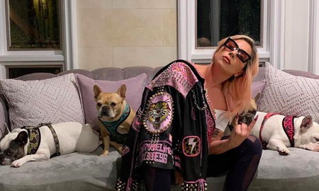 A 10 días de recuperar a sus perros, Lady Gaga no paga la recompensa: el motivo A 10 días de recuperar a sus perros, Lady Gaga no paga la recompensa: el motivo