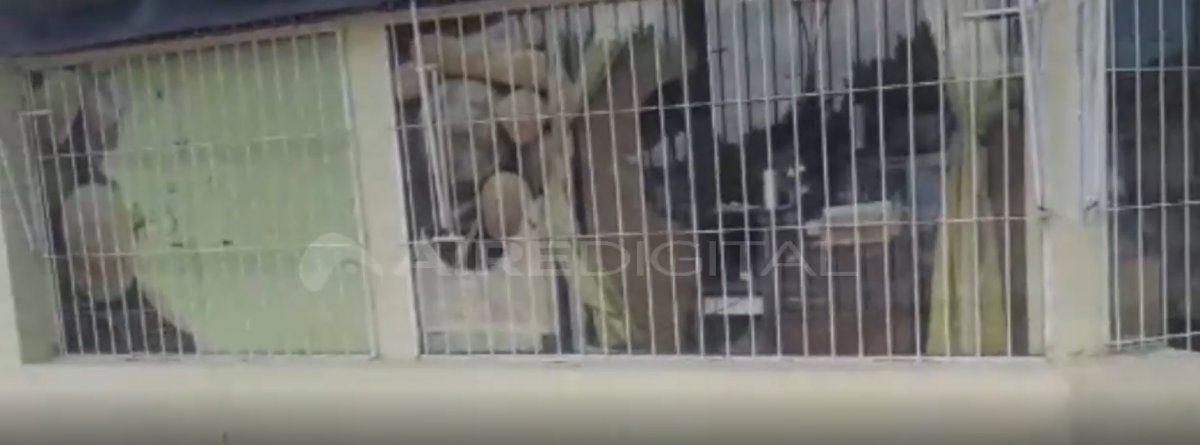 Le pusieron un cuchillo en su garganta, le robaron y ahora piensa en cerrar