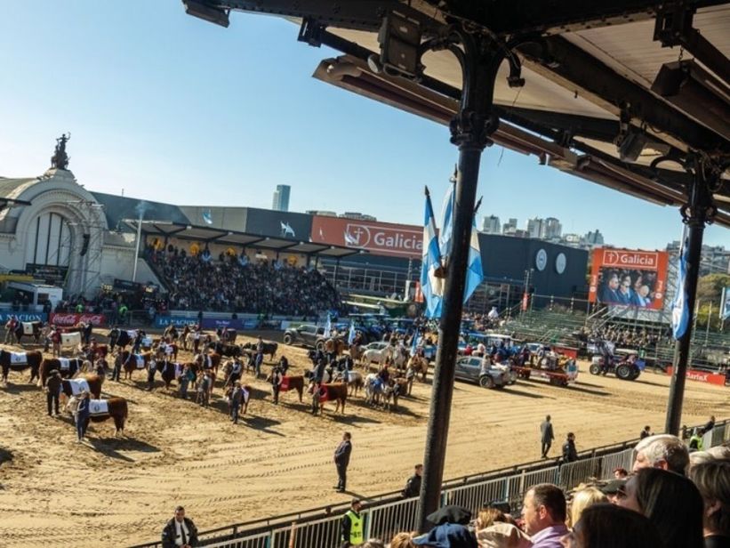 Comenzó la Expo Rural 2026: con un mega despliegue, abrió sus puertas la vidriera del campo argentino Comenzó la Expo Rural 2026: con un mega despliegue, abrió sus puertas la vidriera del campo argentino