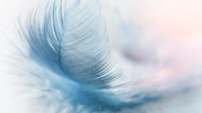 El significado oculto de encontrar una pluma mística