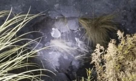 Tras una investigación en la zona se encontró un cráneo, un fémur, un húmero y una costilla. Tras una investigación en la zona se encontró un cráneo, un fémur, un húmero y una costilla.