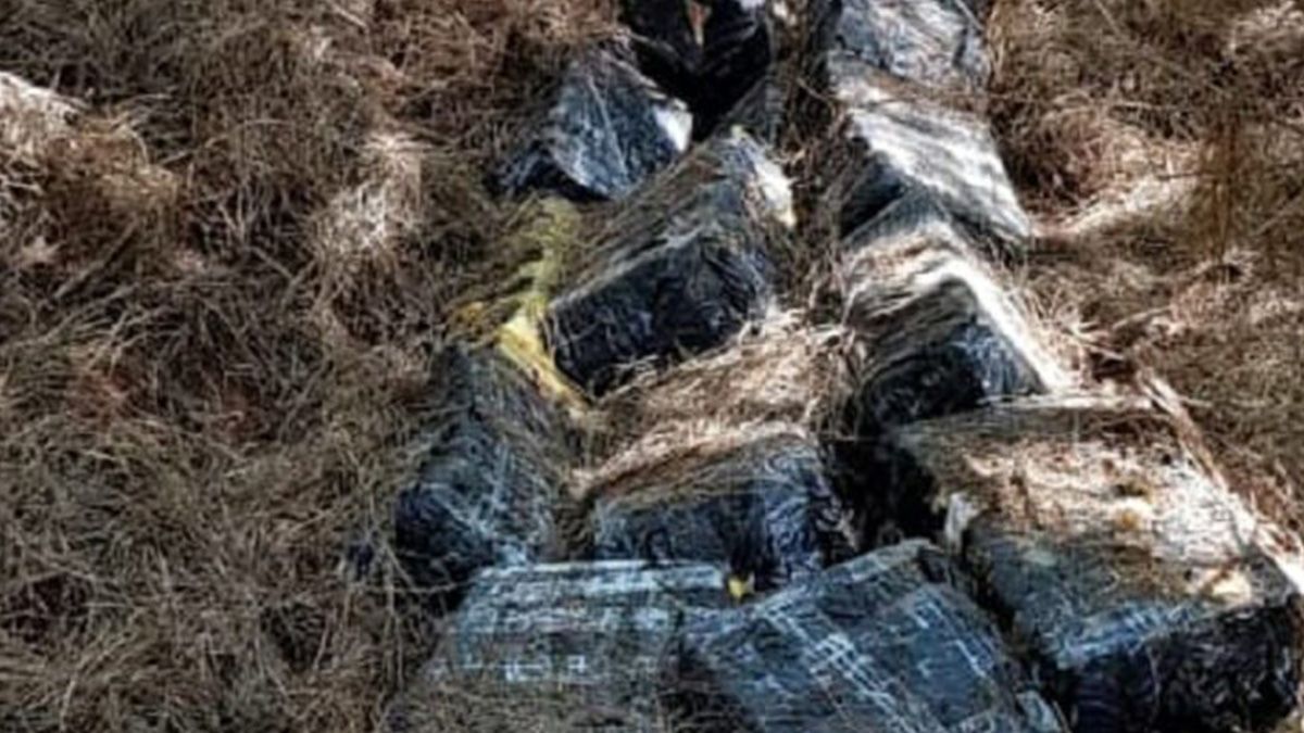 Según indicaron los voceros, al revisar una zona con plantaciones de pinos, los gendarmes encontraron primero 34 envoltorios y luego otros 62, que en total contenían 1.906 kilos de marihuana prensada.