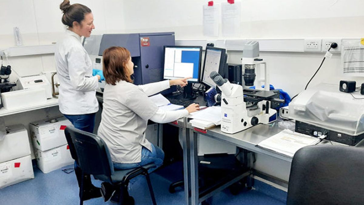 El Cudaio recibió la habilitación oficial para comenzar a efectuar un análisis bioquímico fundamental para la asignación de órganos. El Cudaio recibió la habilitación oficial para comenzar a efectuar un análisis bioquímico fundamental para la asignación de órganos. 