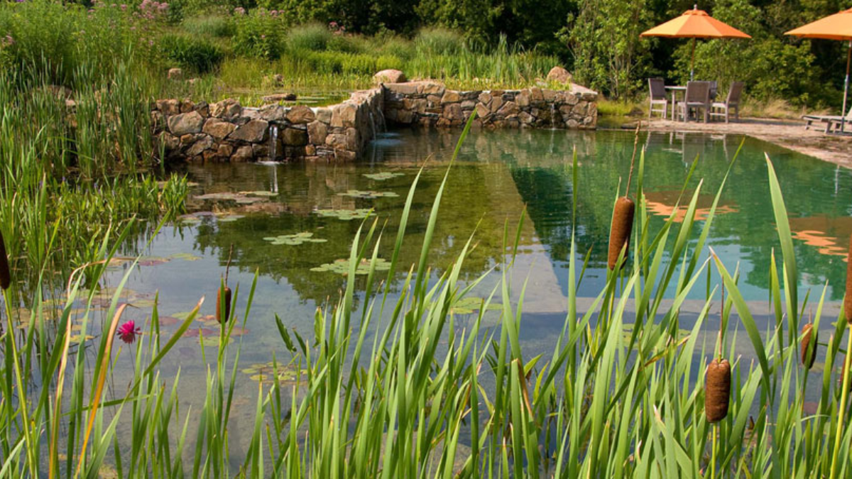 Piscinas ecológicas para tu casa: sin cloros ni productos químicos