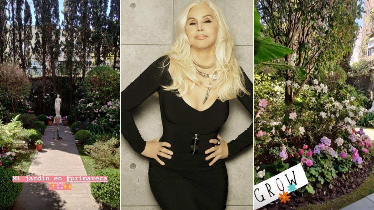 Susana volverá a televisión a través de la plataforma Amazon Prime Video y hará ficción.&nbsp;