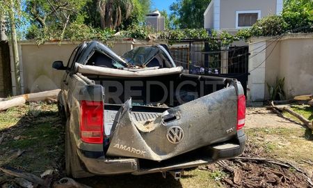 Un árbol cayó sobre una camioneta en Colastiné Norte Un árbol cayó sobre una camioneta en Colastiné Norte