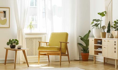 Las 3 plantas de interior ideales para tener en casa este invierno. Las 3 plantas de interior ideales para tener en casa este invierno.