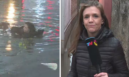 una periodista de tn se cayo en plena inundacion: el terrible video del golpe una periodista de tn se cayo en plena inundacion: el terrible video del golpe