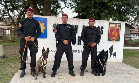 Balto y Newen, los perros de la URI de la Policía de Santa Fe, premiados por detección y rescate junto a sus guías. Balto y Newen, los perros de la URI de la Policía de Santa Fe, premiados por detección y rescate junto a sus guías.