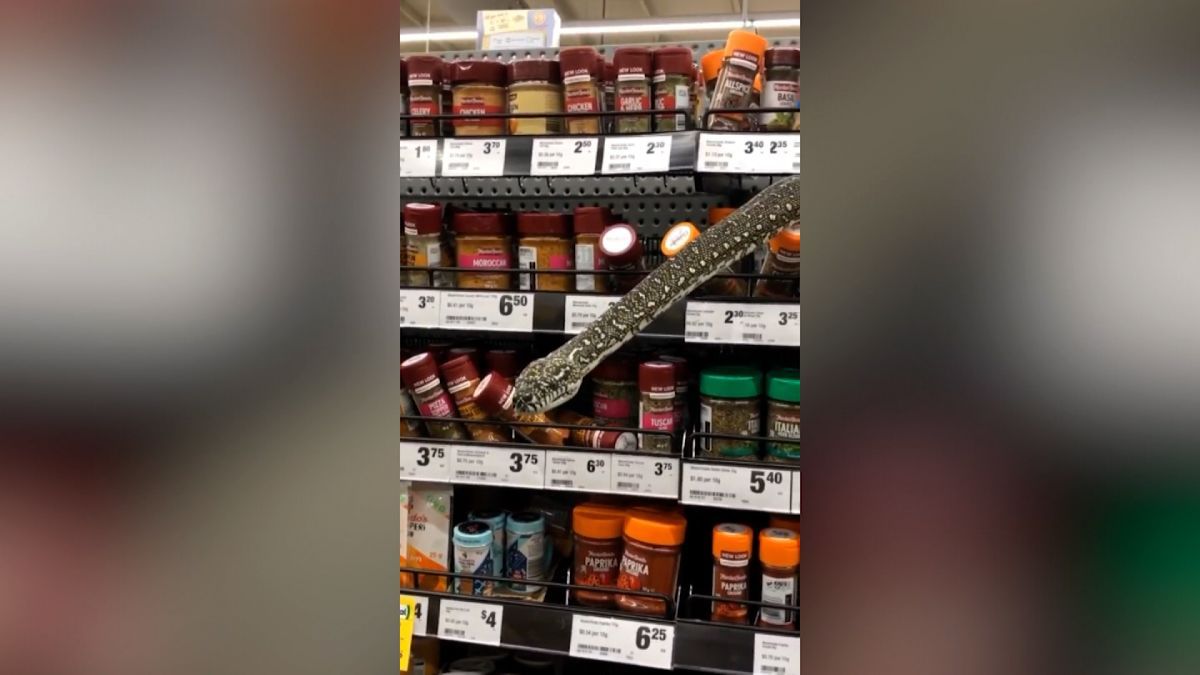 Las imágenes sorprendieron a todos en las redes sociales.