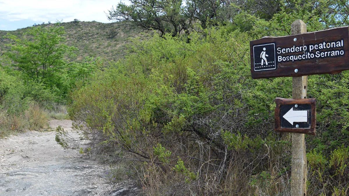 El trazado del Sendero Bosquecito Serrano serpentea entre ejemplares protegidos de molle, espinillo y tabaquillo, permitiendo a los viajeros reconocer la flora nativa gracias a la cartelería educativa. El trazado del Sendero Bosquecito Serrano serpentea entre ejemplares protegidos de molle, espinillo y tabaquillo, permitiendo a los viajeros reconocer la flora nativa gracias a la cartelería educativa.