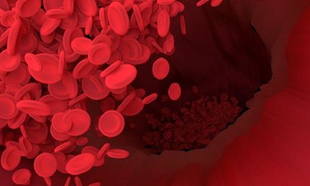 el hospital de clinicas utilizara plasma de personas recuperadas de covid-19 como tratamiento el hospital de clinicas utilizara plasma de personas recuperadas de covid-19 como tratamiento