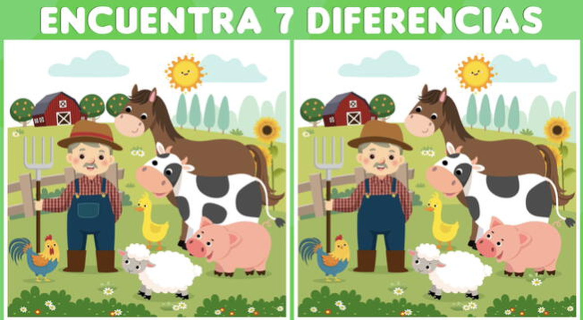 Reto visual: encontrá las diferencias.