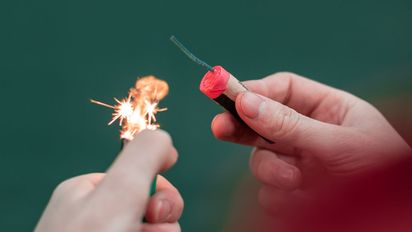 Pirotecnia cero en Santa Fe: se vuelve a recordar su impacto negativo en animales y personas con autismo