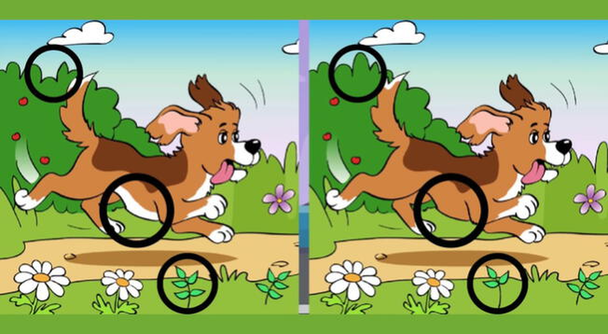 Solución del reto visual.