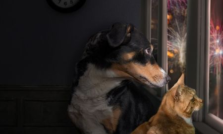 Aire de Santa Fe | animales pirotecnia