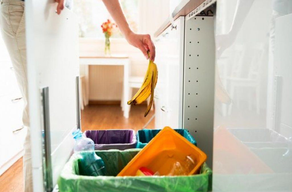 Científicos logran convertir desechos de alimentos en energía limpia