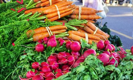 sin desperdicios: recetas para aprovechar todas las partes de los vegetales sin desperdicios: recetas para aprovechar todas las partes de los vegetales