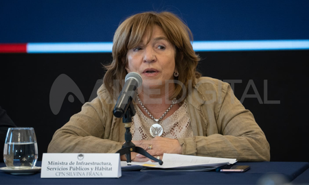 Internaron a la ministra Frana por síntomas compatibles con dengue Internaron a la ministra Frana por síntomas compatibles con dengue