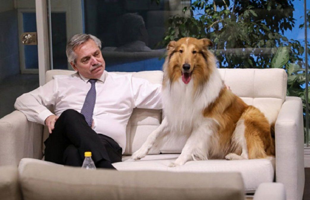 También denunciaron al adiestrador de Dylan, el perro del presidente, que fue a la Quinta de Olivos en plena cuarentena.