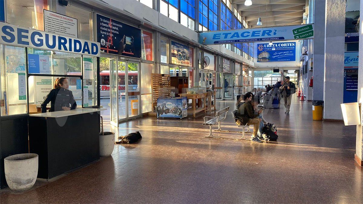 Durante la mañana de este jueves