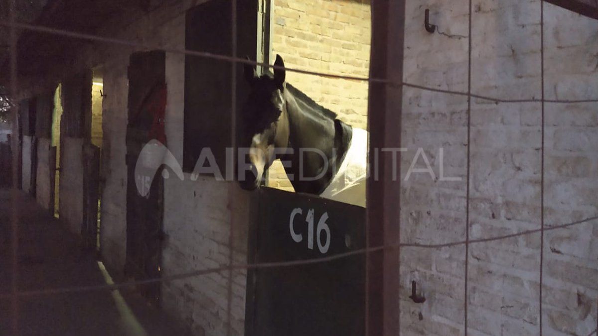 Los trabajadores reclaman apoyo del estado