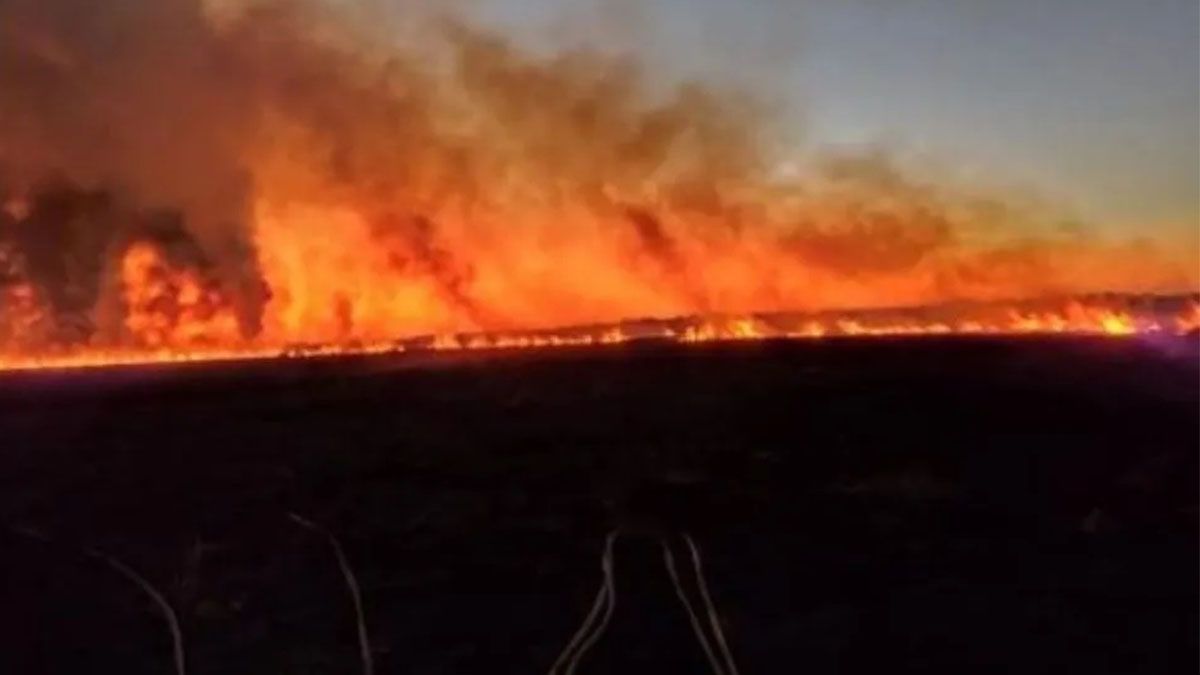 Un incendio consumió más de 400 hectáreas de pastizales en Baradero