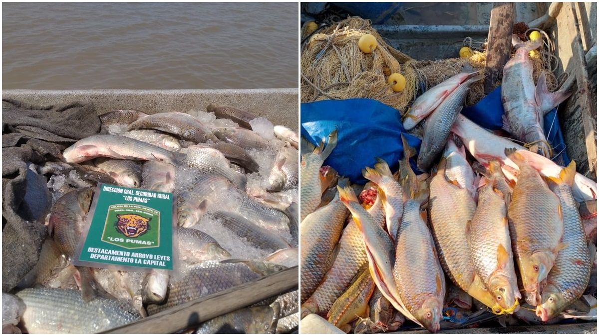 La Policía labró seis actas por infracción a la Ley Provincial de Pesca.