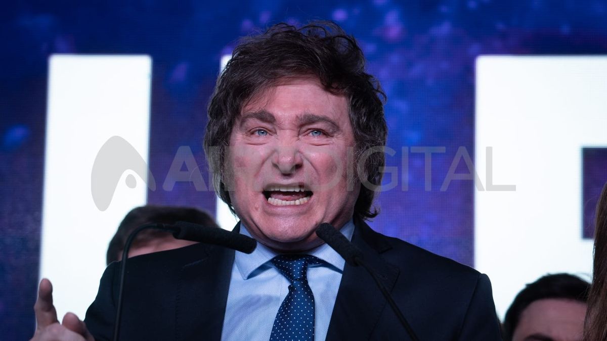 Milei obtuvo un 30