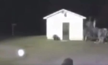Pánico: extrañas luces deambulan por las noches en una granja en la cual murieron varios animales Pánico: extrañas luces deambulan por las noches en una granja en la cual murieron varios animales