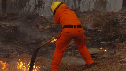 Se originaron tres focos de incendio en el Parque Lanín