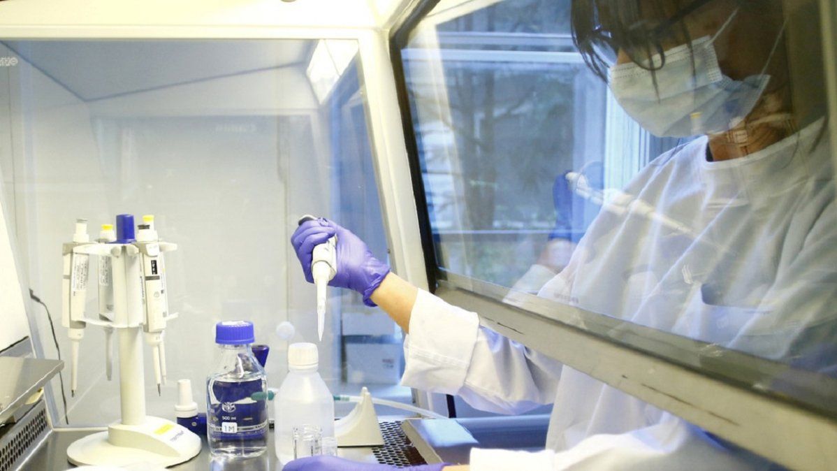 Una compañía farmacéutica asegura tener un anticuerpo para proteger a las células del coronavirus