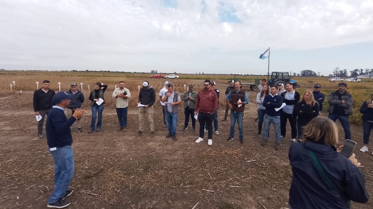 De la jornada participaron más de 20 productores y profesionales del centro norte santafesino. De la jornada participaron más de 20 productores y profesionales del centro norte santafesino.