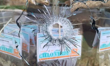 El ataque a balazos al domicilio y comercio del presidente comunal de Alvear ocurrió el pasado martes por la madrugada. El ataque a balazos al domicilio y comercio del presidente comunal de Alvear ocurrió el pasado martes por la madrugada.