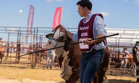 grupo sicemi brillo en expoagro 2025 con premios destacados en la raza braford grupo sicemi brillo en expoagro 2025 con premios destacados en la raza braford