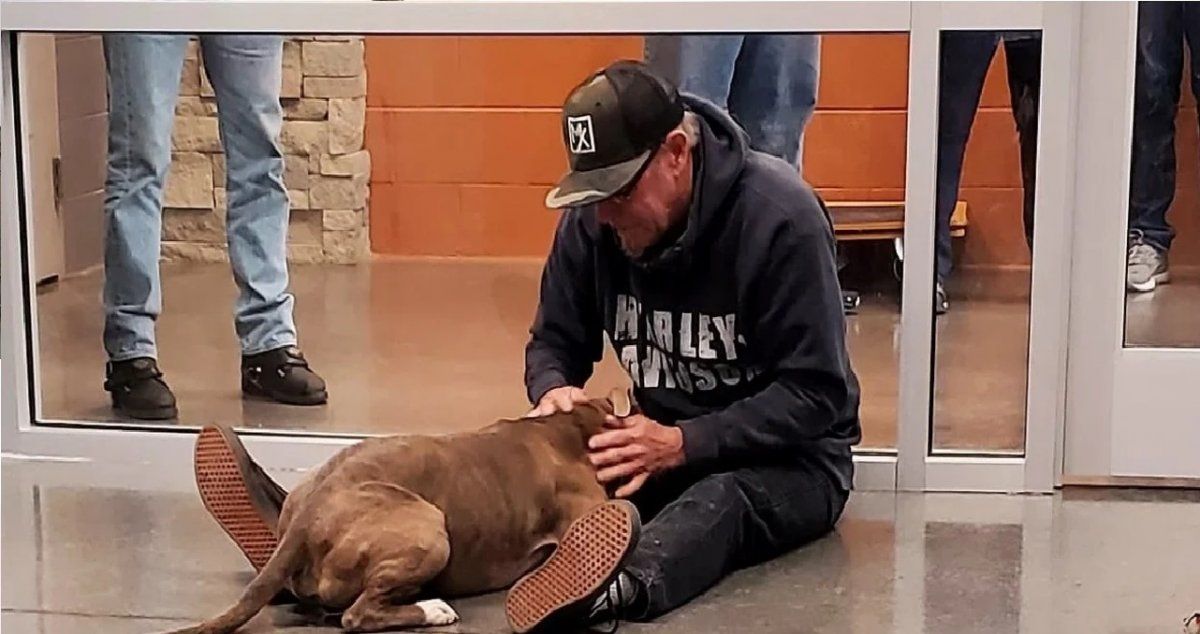 La conmovedora reacción de un perro al reencontrarse con su dueño tras 200 días separados