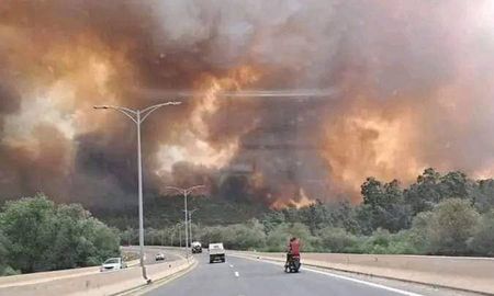 Al menos 26 muertos y casi 50 heridos en incendios forestales en el norte de Argelia. Al menos 26 muertos y casi 50 heridos en incendios forestales en el norte de Argelia.