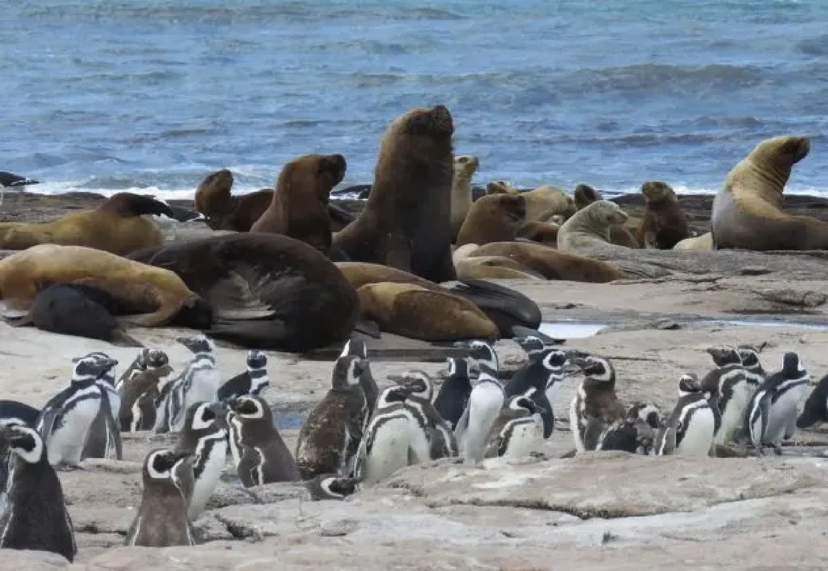 Islote de Lobos, la reserva que se convertirá en Parque Nacional