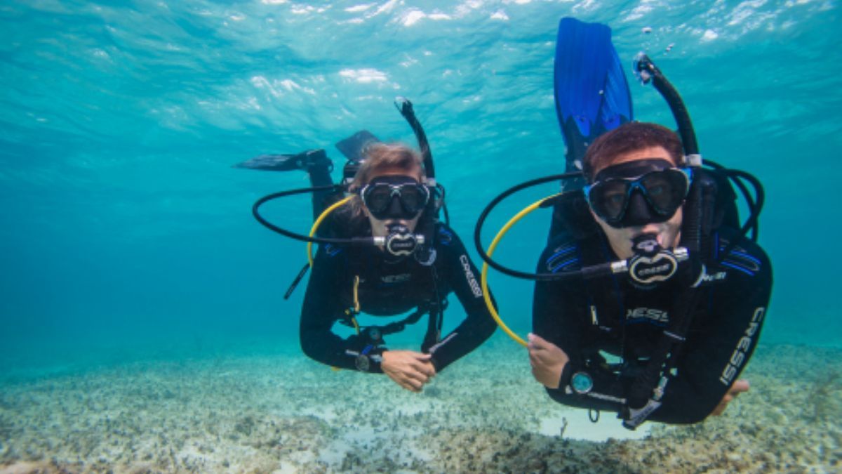 El turismo en Bombinhas prioriza la sustentabilidad y el descanso familiar, manteniendo una normativa que prohíbe los ruidos molestos y las grandes edificaciones sobre la línea de costa. El turismo en Bombinhas prioriza la sustentabilidad y el descanso familiar, manteniendo una normativa que prohíbe los ruidos molestos y las grandes edificaciones sobre la línea de costa.