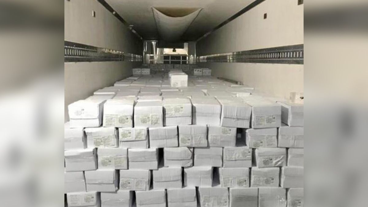 El cargamento está compuesto por 1231 cajas de cola de langostino congelado, 14 de langostino entero congelado y 84 de langostino pelado devenado con un peso neto total de 23.306 kilogramos.