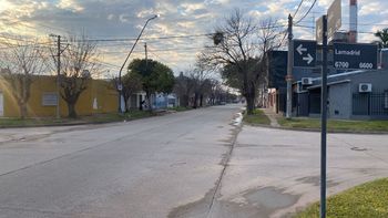 Javier Milei celebró una encuesta y aseguró que en las elecciones de octubre "las urnas hablarán" - Image 2