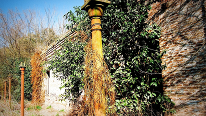 Francisco Paz, el pueblo 