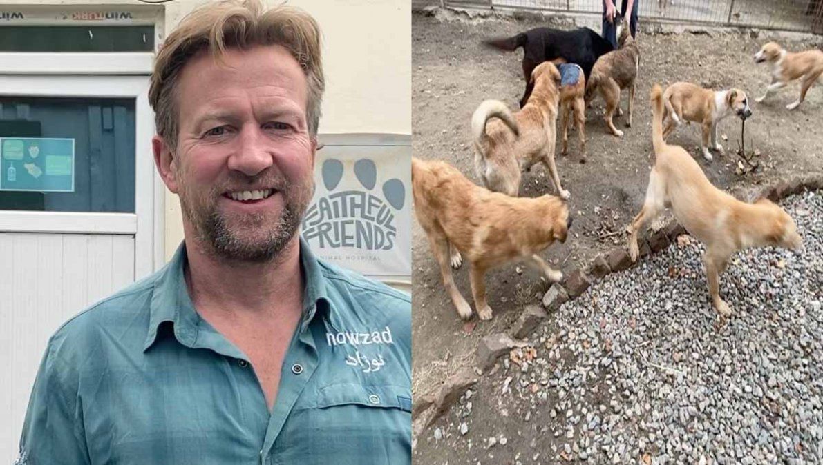 Un exmarine británico salió de Afganistán con 150 perros y gatos pero sin los 24 trabajadores de su ONG