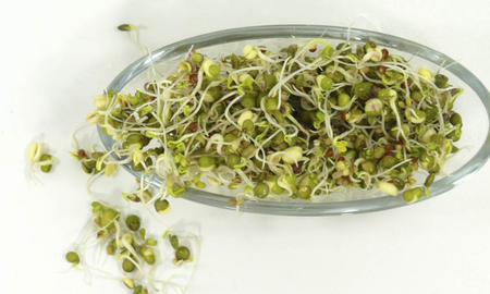 5 beneficios de incluir brotes germinados en tus comidas 5 beneficios de incluir brotes germinados en tus comidas