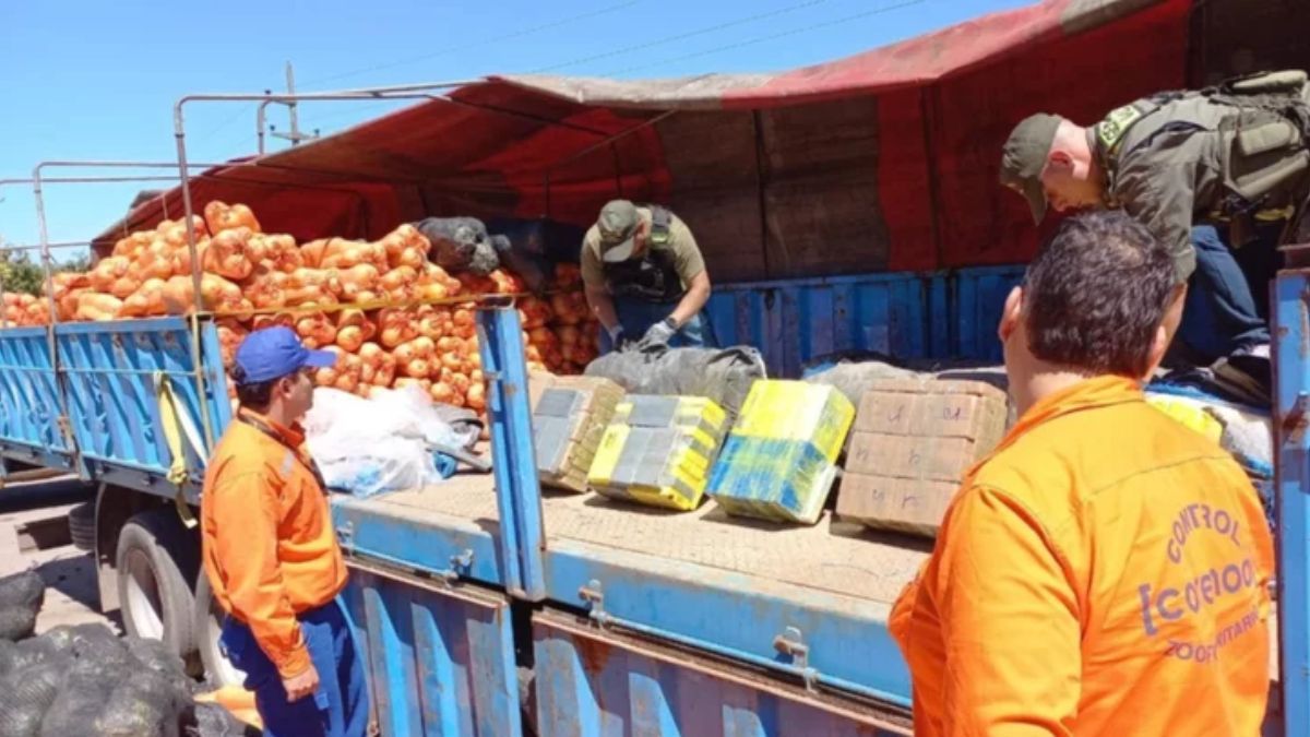El descubrimiento se realizó en el marco de un operativo denominado "Zapallos Duros". El descubrimiento se realizó en el marco de un operativo denominado "Zapallos Duros".