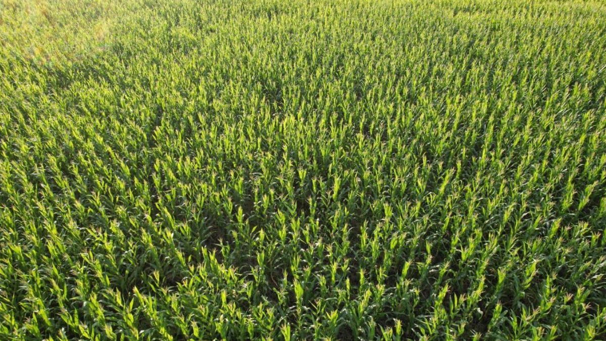 Esta colaboración representa un paso más en nuestro camino para potenciar nuestras estimaciones