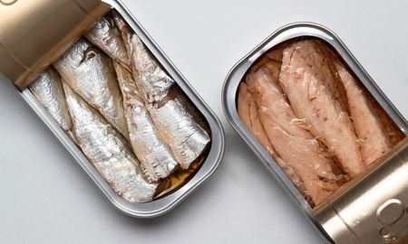ni atun ni salmon: el pescado que pocos consumen y ayuda a mejorar la memoria y reducir el colesterol ni atun ni salmon: el pescado que pocos consumen y ayuda a mejorar la memoria y reducir el colesterol
