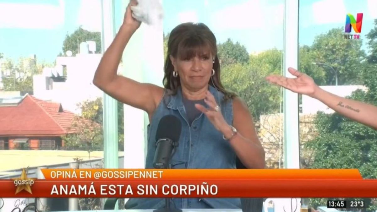 Anamá Ferriera se sacó el corpiño en vivo. Anamá Ferriera se sacó el corpiño en vivo.